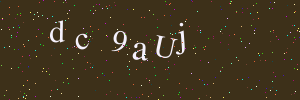 Validation image